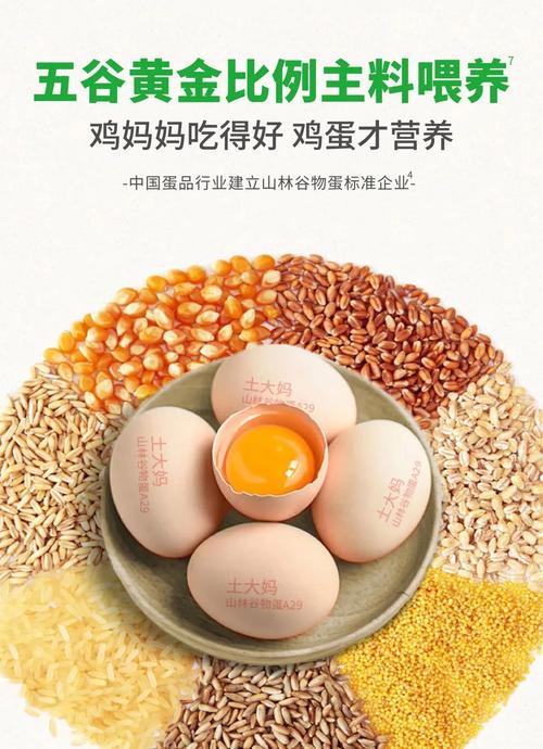 土大妈山林谷物蛋荣获农产品大奖 一枚放养蛋背后的产业链协同与谷物销售新思路
